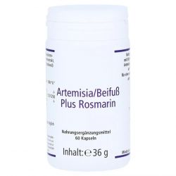 Артемизинин 150 мг капс. 60шт в Нижнекамске и области фото