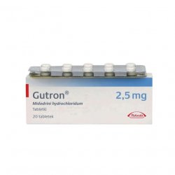 Гутрон таблетки 2,5 мг. №20 в Нижнекамске и области фото